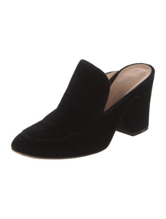 Gianvito Rossi Velvet Mules