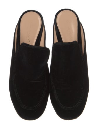 Gianvito Rossi Velvet Mules