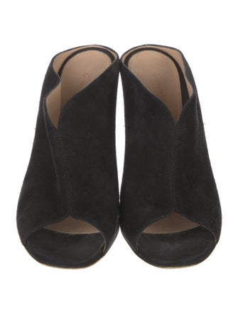 Gianvito Rossi Suede Mules