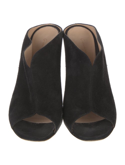Gianvito Rossi Suede Mules