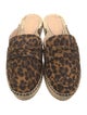 Gianvito Rossi Suede Animal Print Mules