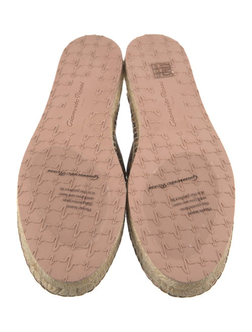 Gianvito Rossi Suede Animal Print Mules