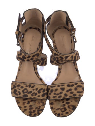 Gianvito Rossi Ponyhair Animal Print Sandals