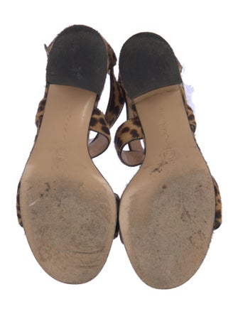 Gianvito Rossi Ponyhair Animal Print Sandals