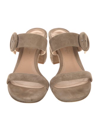 Gianvito Rossi Suede Slides