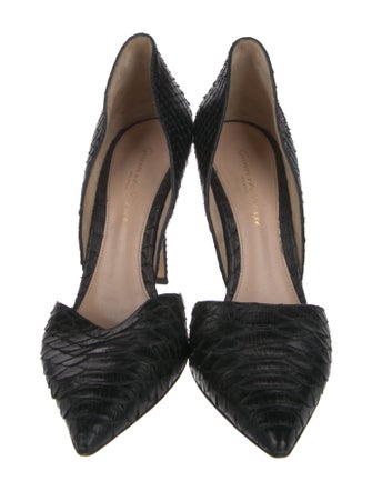 Gianvito Rossi Python D'Orsay Pumps