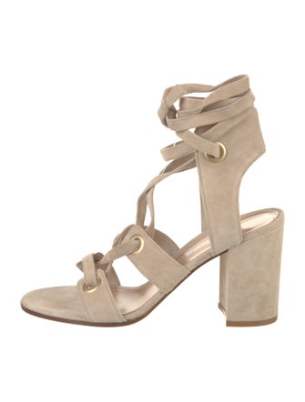 Gianvito Rossi Suede Gladiator Sandals
