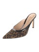 Gianvito Rossi Suede Animal Print Mules