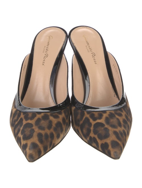 Gianvito Rossi Suede Animal Print Mules