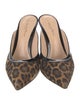 Gianvito Rossi Suede Animal Print Mules
