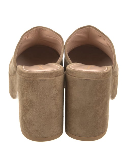 Gianvito Rossi Suede Mules