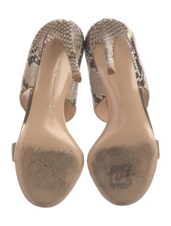 Gianvito Rossi Python Animal Print Slides