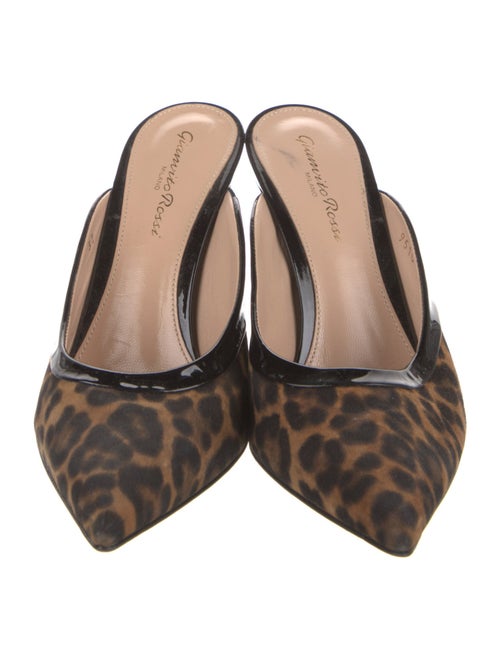 Gianvito Rossi Suede Animal Print Mules