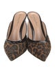 Gianvito Rossi Suede Animal Print Mules