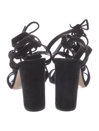 Gianvito Rossi Suede Cutout Accent Gladiator Sandals