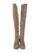 Gianvito Rossi Suede Boots