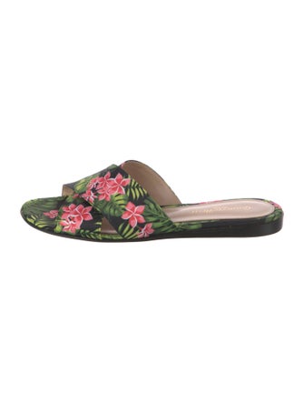 Gianvito Rossi Satin Floral Print Slides