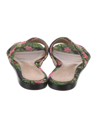 Gianvito Rossi Satin Floral Print Slides