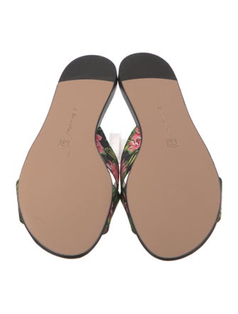 Gianvito Rossi Satin Floral Print Slides