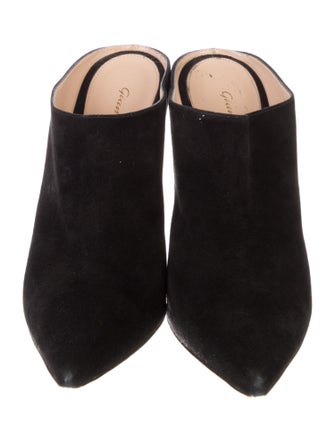 Gianvito Rossi Suede Mules