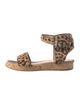 Gianvito Rossi Ponyhair Animal Print Espadrilles