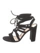 Gianvito Rossi Suede Gladiator Sandals