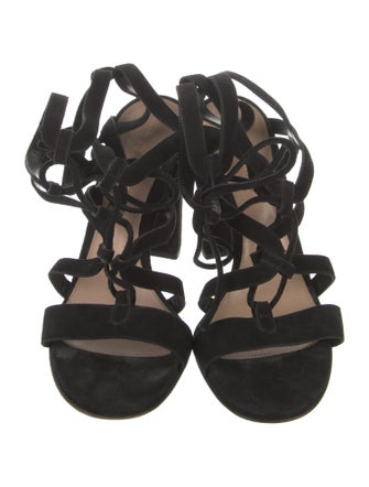 Gianvito Rossi Suede Gladiator Sandals