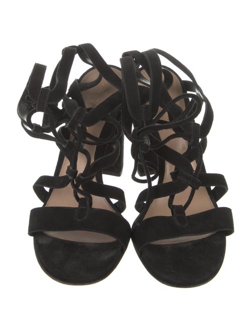 Gianvito Rossi Suede Gladiator Sandals