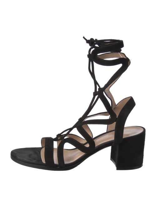 Gianvito Rossi Suede Gladiator Sandals