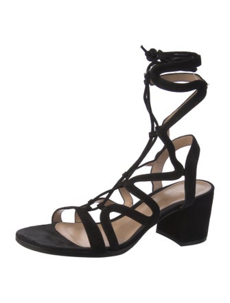 Gianvito Rossi Suede Gladiator Sandals