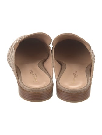 Gianvito Rossi Python Mules