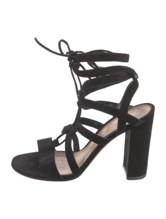 Gianvito Rossi Suede Gladiator Sandals