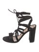 Gianvito Rossi Suede Gladiator Sandals