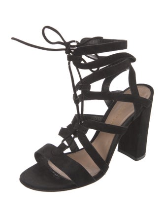 Gianvito Rossi Suede Gladiator Sandals