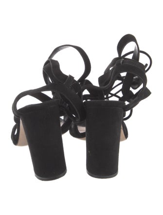 Gianvito Rossi Suede Gladiator Sandals