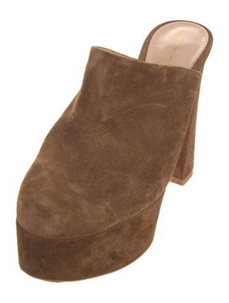 Gianvito Rossi Suede Mules
