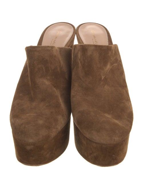 Gianvito Rossi Suede Mules