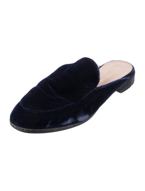 Gianvito Rossi Velvet Mules