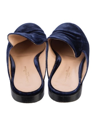 Gianvito Rossi Velvet Mules