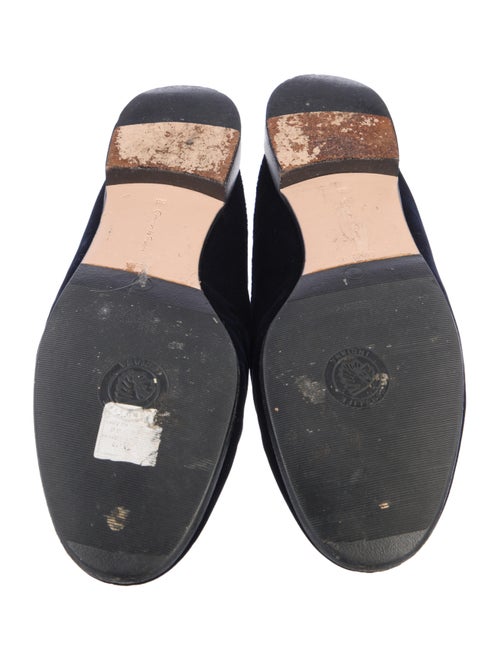 Gianvito Rossi Velvet Mules