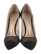 Gianvito Rossi Suede Mesh Accents Pumps
