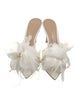 Gianvito Rossi PVC Feather Trim Slides