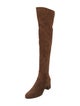 Gianvito Rossi Suede Boots