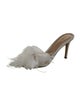 Gianvito Rossi PVC Feather Trim Slides