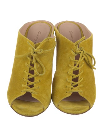 Gianvito Rossi Suede Slides