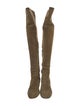 Gianvito Rossi Suede Boots