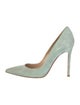Gianvito Rossi Suede Pumps