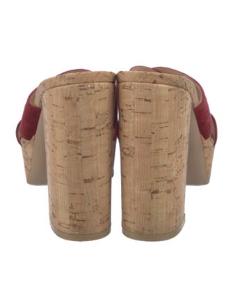 Gianvito Rossi Suede Slides