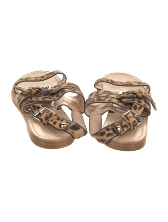 Gianvito Rossi Ponyhair Animal Print Slides
