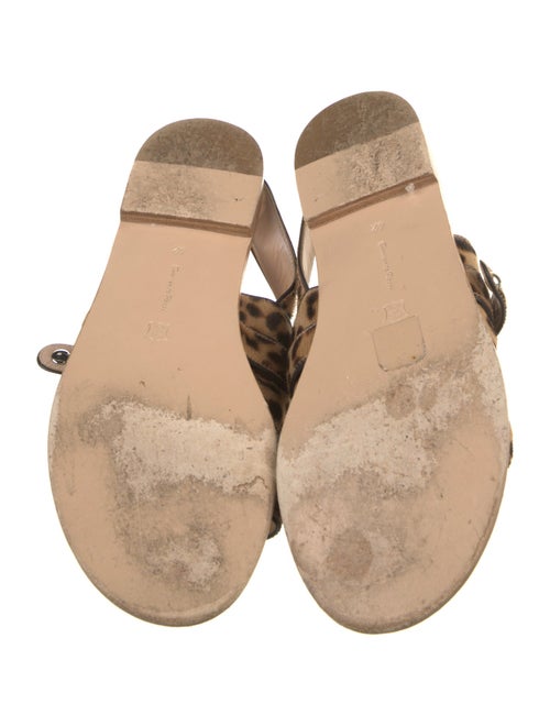 Gianvito Rossi Ponyhair Animal Print Slides